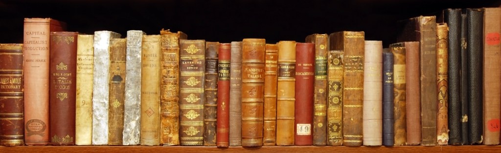  A row of books, standing up, with brown and red spines